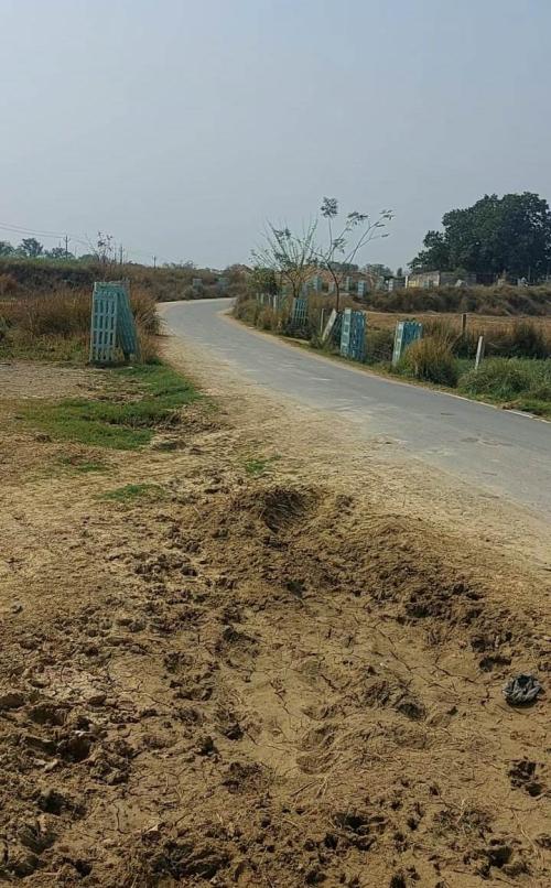 Rampur Naini Karchhana